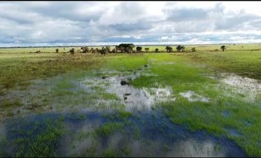 Venta de Finca Ganadera en Vichada