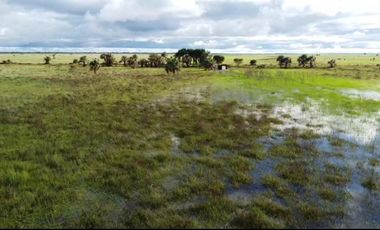 Venta de Finca Ganadera en Vichada