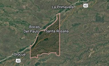 Venta de Finca Ganadera en Vichada