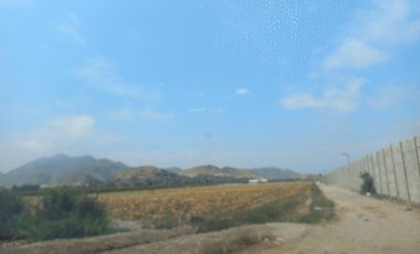 (V) VENDO PANAMERICANA NORTE KLM 87 CON 29,000 M2