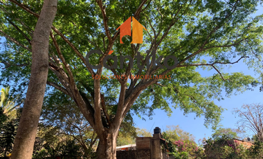 Casa de campo El Remudadero, COMALA, Col.