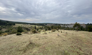 Campo parcela de 4,7 has ubicado en Chillancito Quillon
