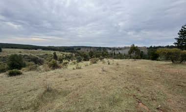 Campo parcela de 4,7 has ubicado en Chillancito Quillon