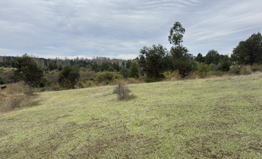 Campo parcela de 4,7 has ubicado en Chillancito Quillon