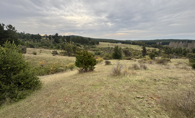 Campo parcela de 4,7 has ubicado en Chillancito Quillon