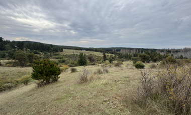 Campo parcela de 4,7 has ubicado en Chillancito Quillon