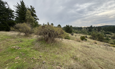 Campo parcela de 4,7 has ubicado en Chillancito Quillon