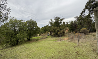 Campo parcela de 4,7 has ubicado en Chillancito Quillon