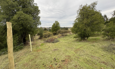 Campo parcela de 4,7 has ubicado en Chillancito Quillon
