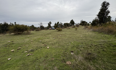 Campo parcela de 4,7 has ubicado en Chillancito Quillon