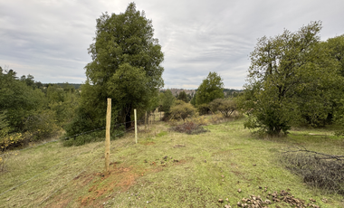 Campo parcela de 4,7 has ubicado en Chillancito Quillon