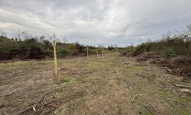 Campo parcela de 4,7 has ubicado en Chillancito Quillon