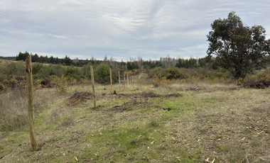 Campo parcela de 4,7 has ubicado en Chillancito Quillon