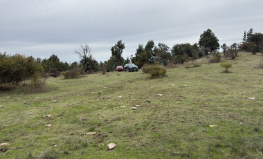 Campo parcela de 4,7 has ubicado en Chillancito Quillon
