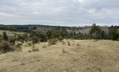 Campo parcela de 4,7 has ubicado en Chillancito Quillon