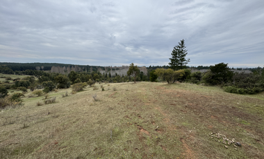 Campo parcela de 4,7 has ubicado en Chillancito Quillon
