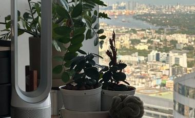 The Ritz-Carlton Residences Bangkok For Rent