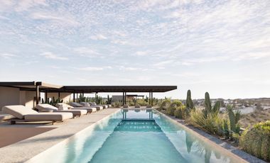 📍 Indigo Dunes – Plataforma para crecer en El Tezal 🌊🌴