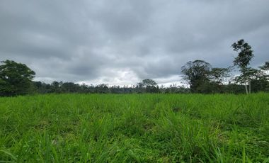 Finca Ganadera