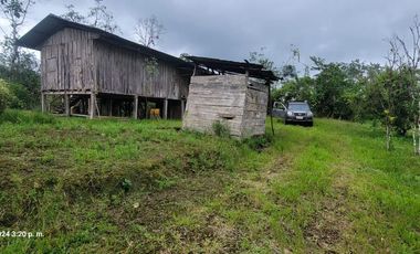 Finca Ganadera