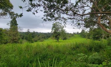 Finca Ganadera
