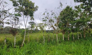 Finca Ganadera