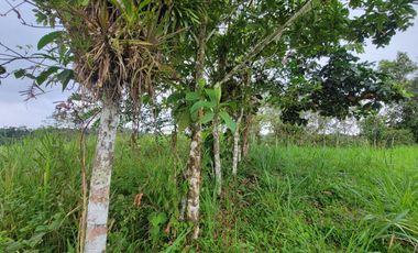 Finca Ganadera
