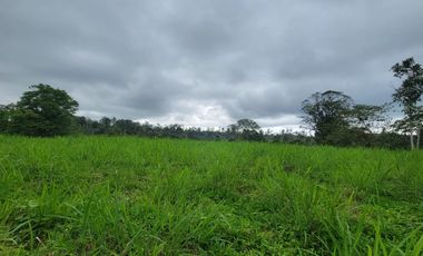 Finca Ganadera