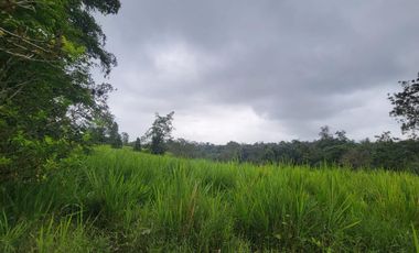 Finca Ganadera