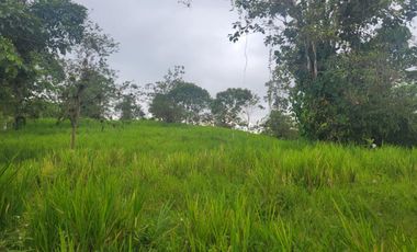 Finca Ganadera