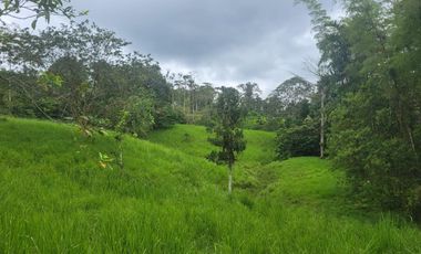 Finca Ganadera