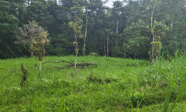 Finca Ganadera