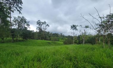 Finca Ganadera