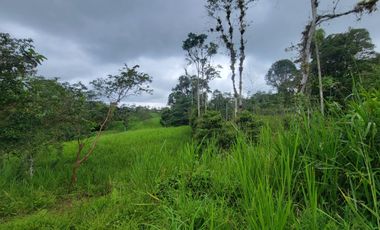 Finca Ganadera