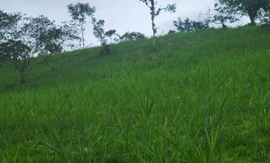 Finca Ganadera