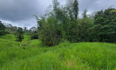 Finca Ganadera