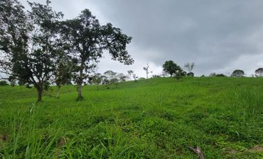 Finca Ganadera