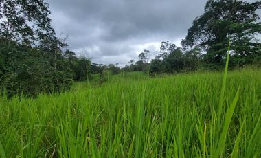 Finca Ganadera