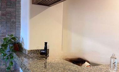 Oportunidad Edificio Hotel en Funcionamiento