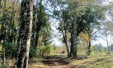Acogedora Casa Nueva en arriendo cercana a Villarrica