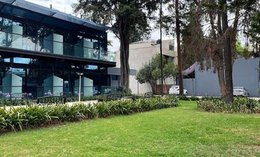 Se rentan hermosos lofts en colonia Florida