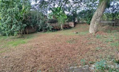 VENTA CASA FINCA PALMIRA VALLE