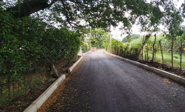 VENDO LOTE EN PALMASECA 400M2 $150.000.000