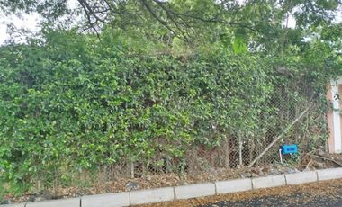 VENDO LOTE EN PALMASECA 400M2 $150.000.000