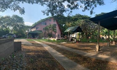 VENDO LOTE EN PALMASECA 400M2 $150.000.000