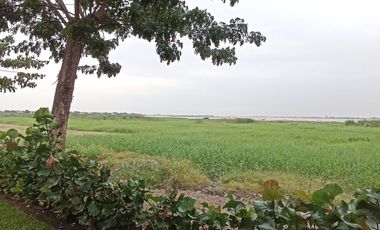 Alquiler de Departamento por estrenar en Ribera del Buijo