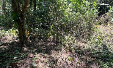 Terreno en Mindo