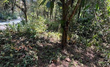 Terreno en Mindo