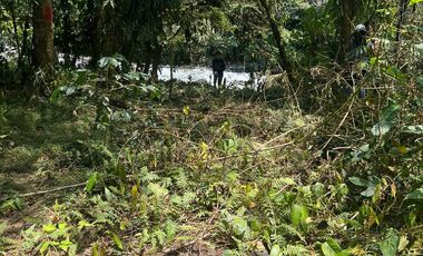 Terreno en Mindo
