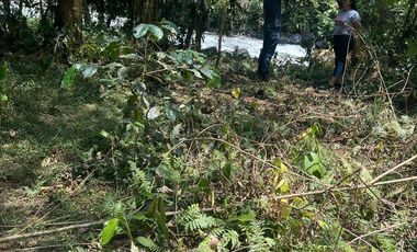 Terreno en Mindo